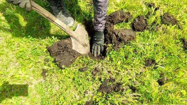 Металлоискатель MD-4030. Новое место, новая деревня! смотреть онлайн