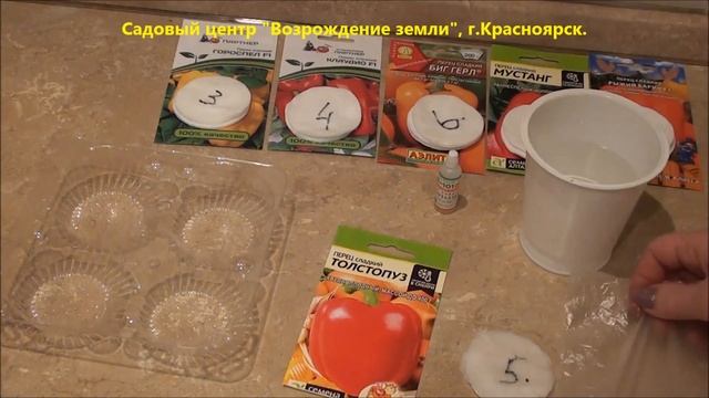 Как можно подготовить семена перца, баклажан, томатов  к посеву?