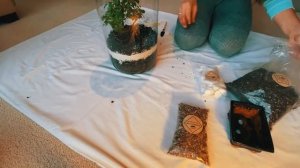 How to create plant terrarium   Как создать террариум для домашних растений