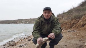 Пеленгас 1 апреля 2022 FHD