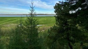 Сейчас мне всего лишь годик