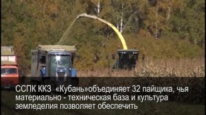 Посёлок Кубань