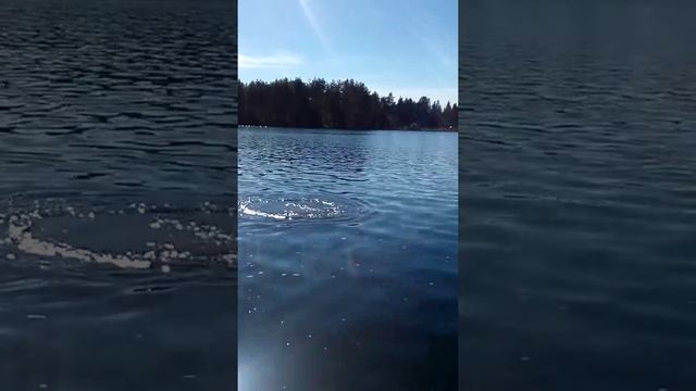 Пргружения в акваланги смотреть онлайн