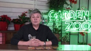 ФИЗАЛИС Полезные Свойства ✔️ Лучшие Сорта Физалиса Для Средней Полосы