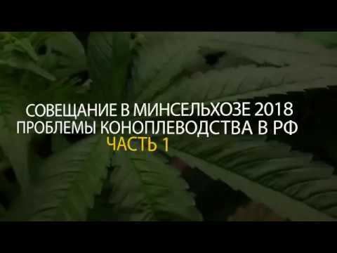 ❆ МИНСЕЛЬХОЗ ❆ - Коноплеводство: проблемы и решения