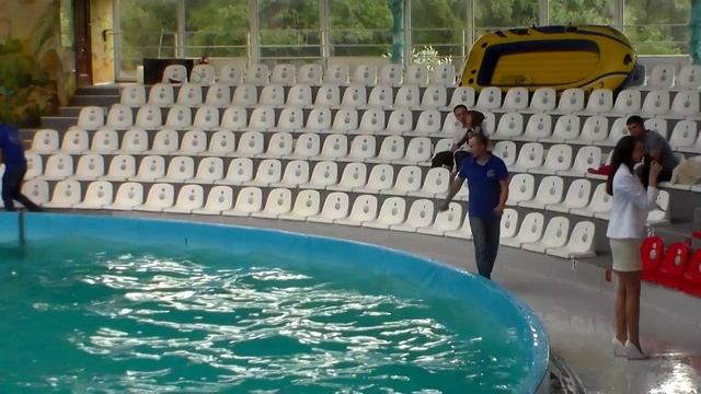 Видео_95 смотреть онлайн