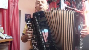 БАЯН ЯСНАЯ ПОЛЯНА