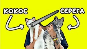 Арматура - Песня Про Котят  (Ai Cover)