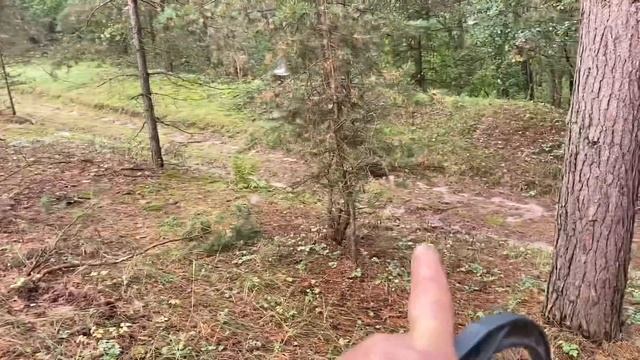 Давно мы так не собирали грибы!Вы только посмотрите!Каких только здесь нет.Это просто сказочный лес смотреть онлайн