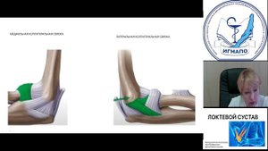 Локтевой сустав