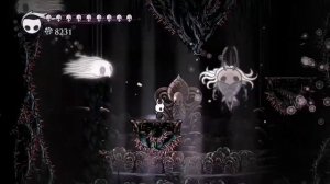 Hollow Knight - No Eyes Radiant Hitless