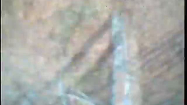 Орнитоптер с видеокамерой на борту смотреть онлайн