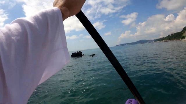 На француз с городского пляжа и назад с дельфином смотреть онлайн