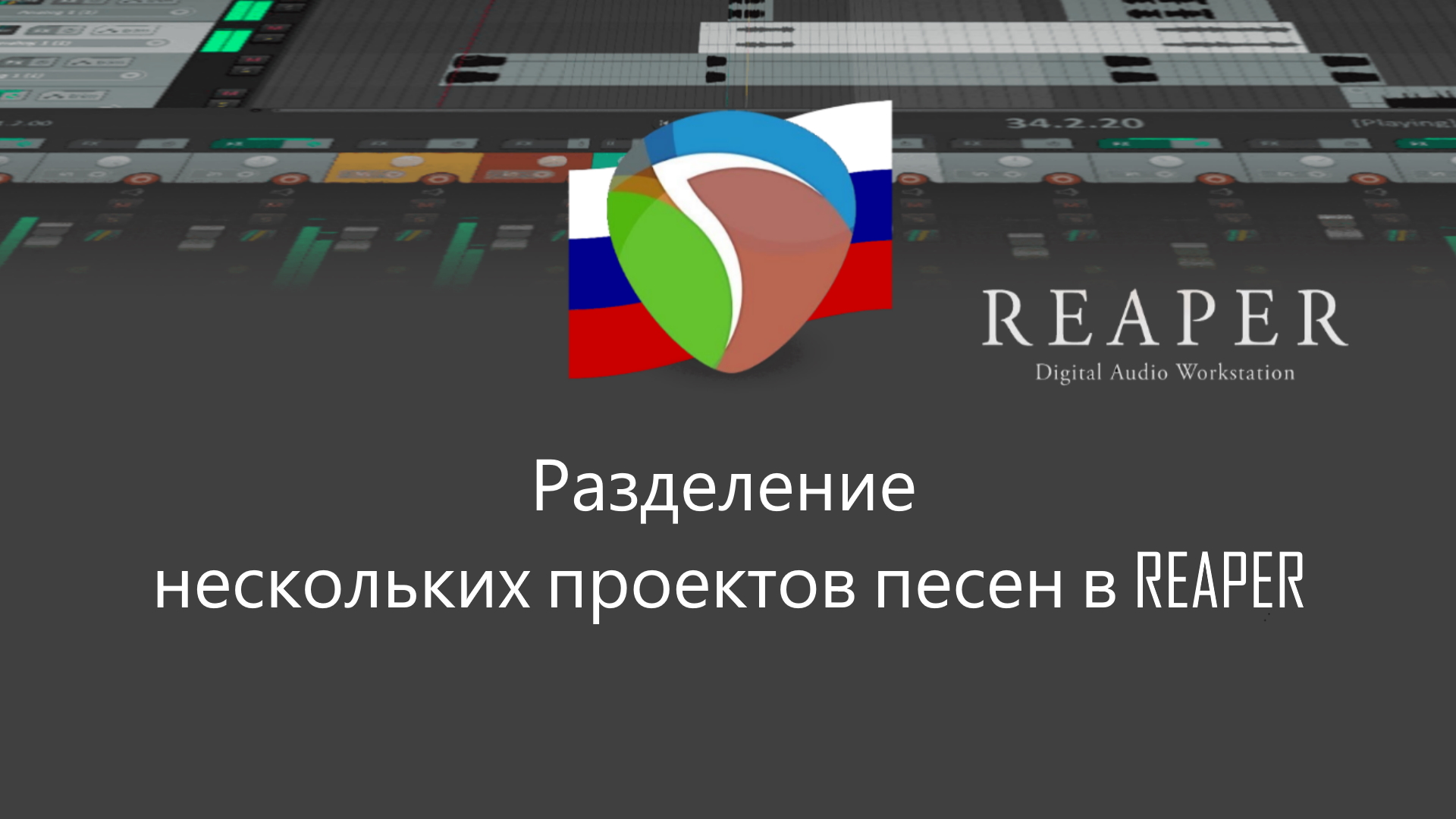 Настройки проекта reaper