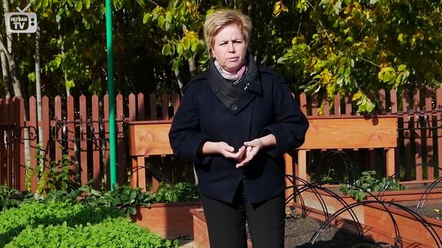 Посев лука под зиму, озимый лук ? Преимущества и особенности посадки ? Мастер класс HitsadTV