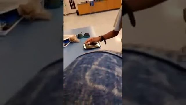 school idk #1 смотреть онлайн