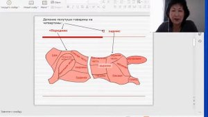 Разделка туши говядины