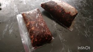 Готовлю бурятский деликатес.