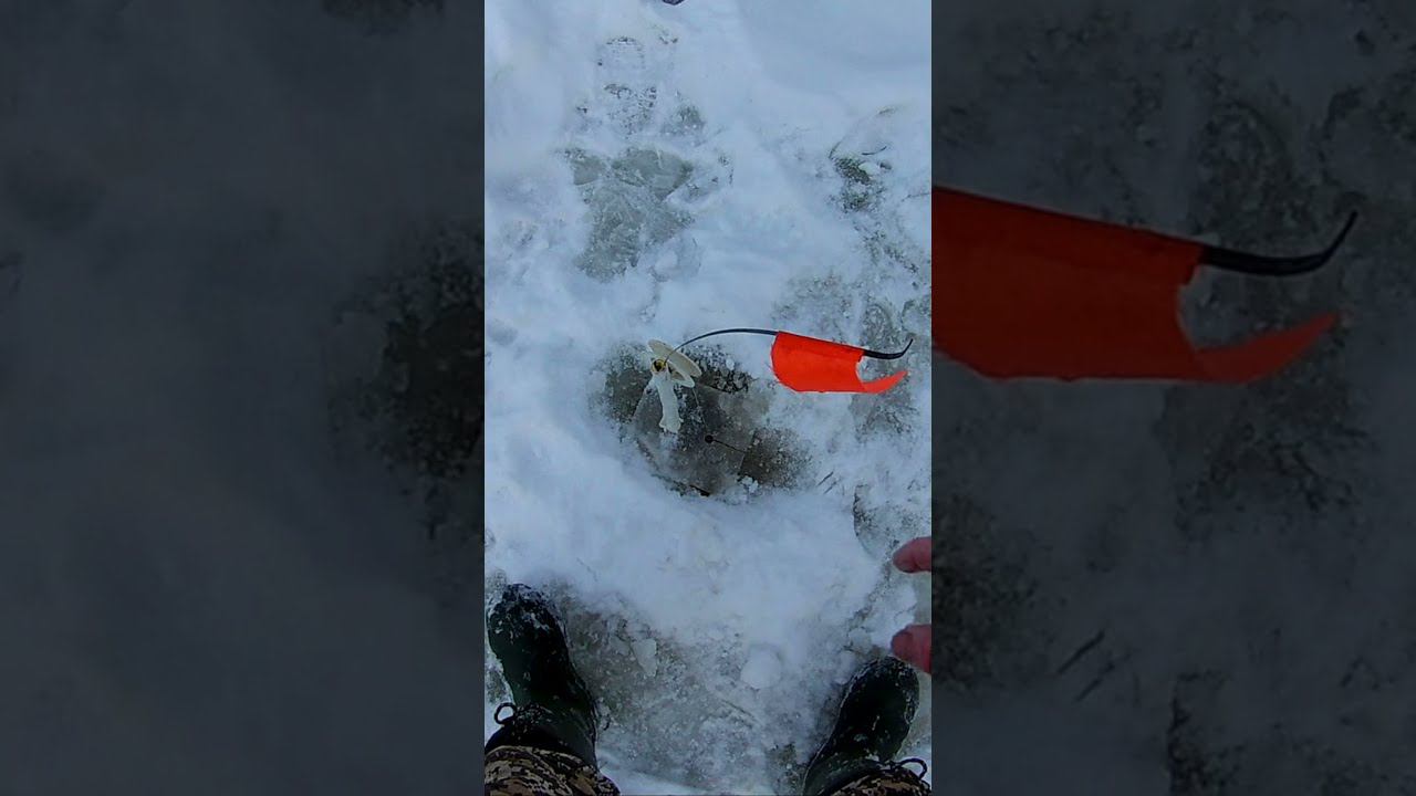 МГНОВЕННАЯ АТАКА ЩУКИ ПРЯМО В РУКАХ такого я даже не ожидал смотреть онлайн