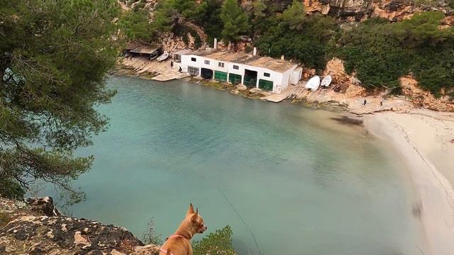 🇪🇸 Cala Pi 📷 Mallorca 🌊 November 🌡 17°C | Playas de Mallorca смотреть онлайн