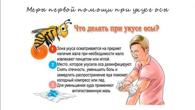 Первая помощь при укусе осы. Тайминг в описании.