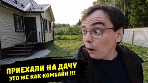 Поехали на дачу / жарим шашлыки под покос травы / дачный влог / наводим порядок на участке / дачники