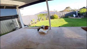 Mobula 8 with Insta360 GO 3