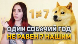 Один собачий год НЕ РАВЕН 7 нашим | DeeaFilm