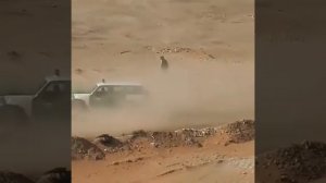 Адские скачки в пустыне на лошадях