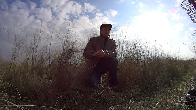 Выбор места для ловли певчих птиц тайником - 1 часть. смотреть онлайн