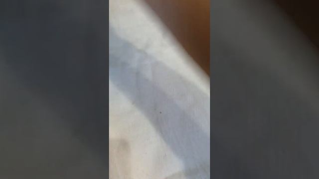Карачаевская пряжа. Продолжение.