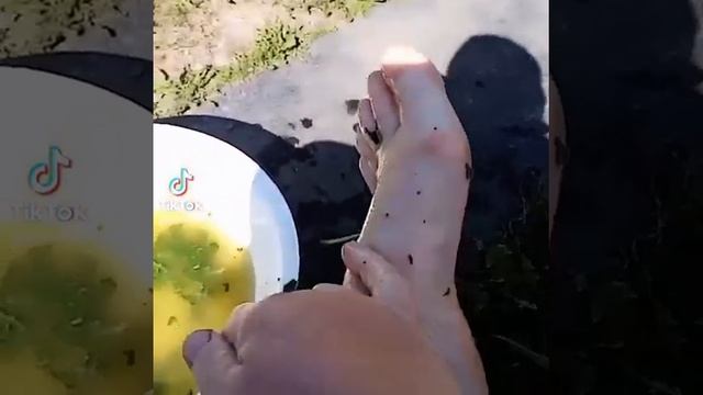 Как отмыть руки после работы с томатами.Увидела. Решила с вами поделится.Это реально работает#short смотреть онлайн