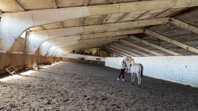 Домашнее задание 5 Упрощенный вариант смотреть онлайн