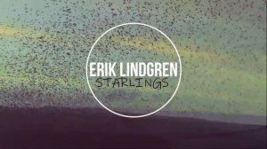 Erik Lindgren - Starlings