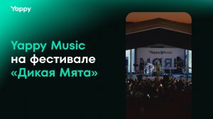 Yappy Music на крупнейшем музыкальном фестивале «Дикая Мята»