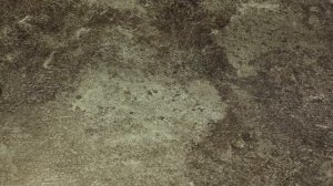 Angry Birds | Hatchling Hatchies 2