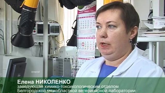 По виду – сыр, по факту – сырный продукт смотреть онлайн