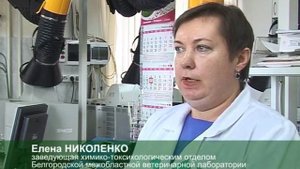 По виду – сыр, по факту – сырный продукт