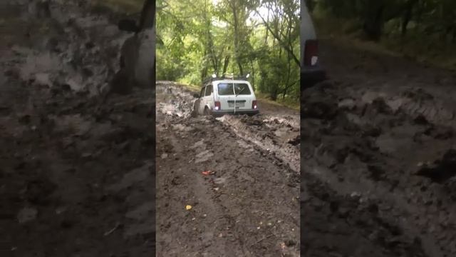 Покатушки смотреть онлайн