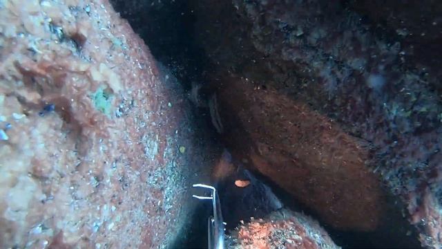 Подводная охота в черном море. КАК ЕСТЬ. смотреть онлайн