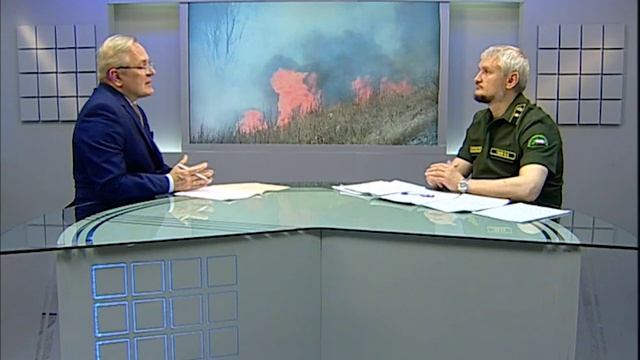 Интервью: Вадим Гаев, заместитель начальника управления лесами правительства ЕАО