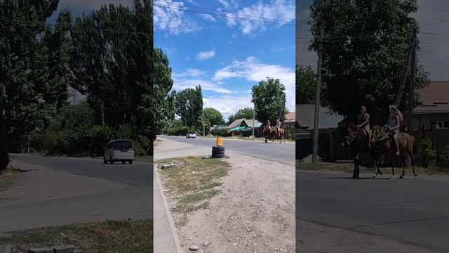 Лошади в городе смотреть онлайн