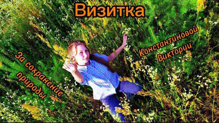 Визитка. Константинова Виктория