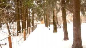 Фролищи. Завод ЛПК (лесоперерабатывающий комплекс). 2020 год. 09 января. Нижегородская область.