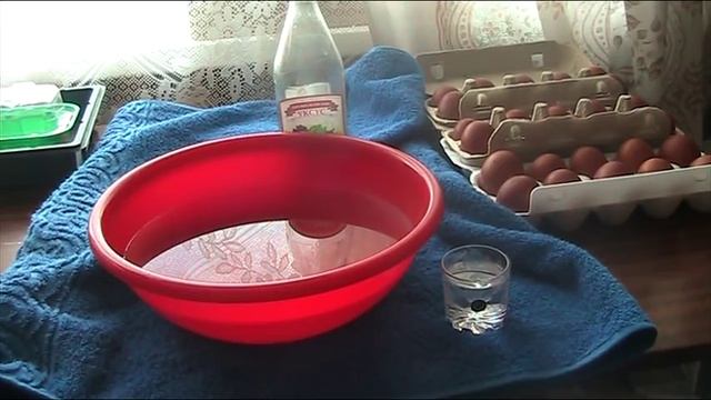 Дезинфекция инкубационного яйца. Январь 2018 г //Секреты хороших урожаев. смотреть онлайн