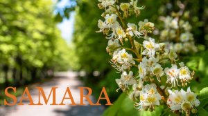 Майский ботанический сад в Самаре. Музыка Сергея Чекалина. May Botanical Garden in Samara. 2021.