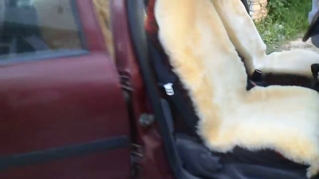 Овечья накидки а автомобиль из стриженых шкур. смотреть онлайн