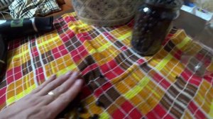 Ещё один вариант заготовки калины и черноплодной рябины