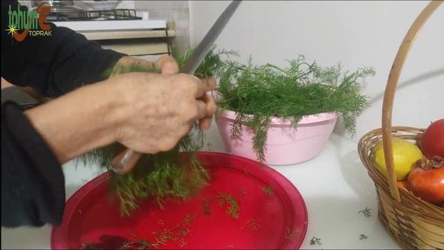 SIRA OTU / Arapsaçı Otu / Foeniculum Vulgare / Yemeği Nasıl Yapılır? / Yenen Yabani Otlar смотреть онлайн