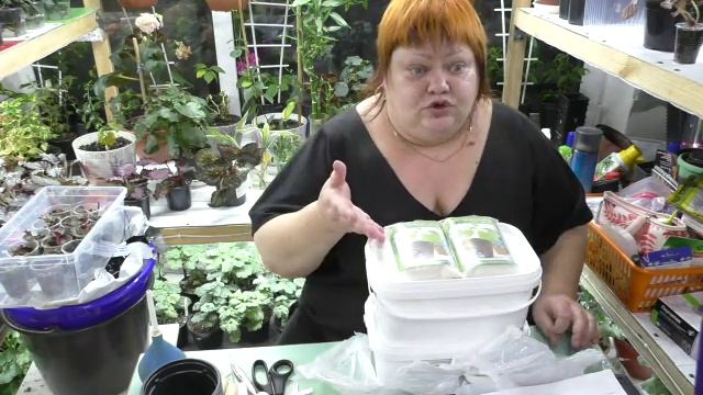 гидрогель для цветов и сада ..часть 2